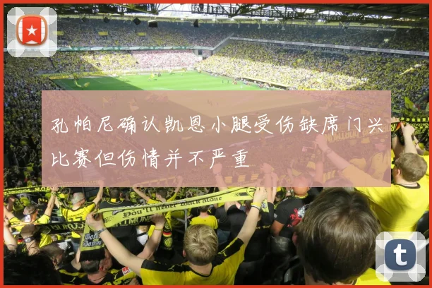 孔帕尼确认凯恩小腿受伤缺席门兴比赛但伤情并不严重